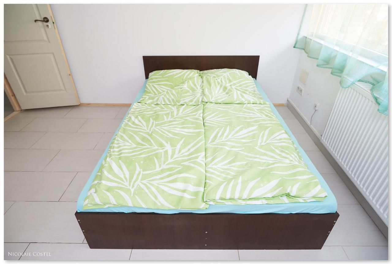 Zen House Hostel Timisoara Bagian luar foto