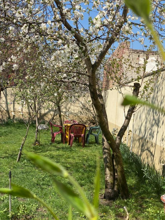 Zen House Hostel Timisoara Bagian luar foto